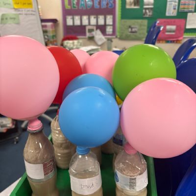 Is yeast a living organism?